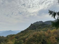 -阳台山自然风景区