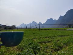 -村上春树