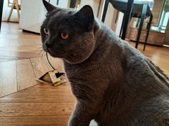 -Me Coffee下午茶艺术空间