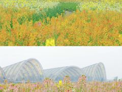 -中国天府农业博览园