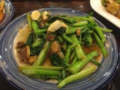 生炒菜心-七菜馆·东北菜·蒸饺(文体路店)