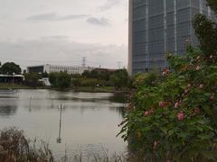 -同济大学(嘉定校区)