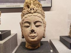 -四川大学博物馆