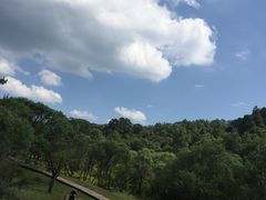 -大水川景区