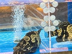 -炊江南·上海菜(国展华漕店)