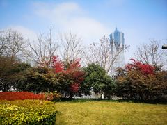 -运河游船(武林门码头)