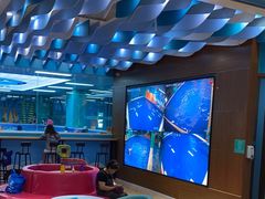 -Swim斯卫姆国际儿童游泳中心(红博中央公园店)