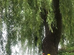 -阳澄湖半岛旅游度假区
