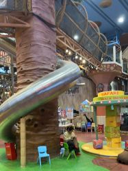 -卡通尼·Safari非洲探索乐园·生日会(金桥国际商业广场店)