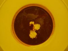 俄式红菜汤-成桂西餐厅·42年的味道(五大道疙瘩楼店)