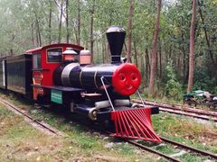 -合肥滨湖国家森林公园