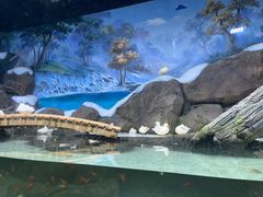 -海合安青岛极地海洋公园