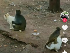 -昆明动物园