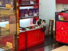 -香港元朗荣华月饼(十八甫路店)