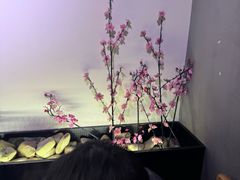 -蓉客成都火锅·招牌麻辣牛杂·特色香辣蹄花(凌水店)