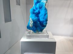 -中国地质大学逸夫博物馆
