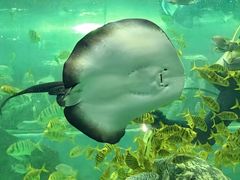-苏州海洋馆