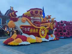 -荷兰花海