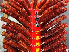 -和禄德冰糖葫芦