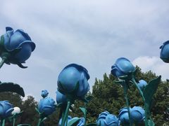 游乐设施-北京石景山游乐园