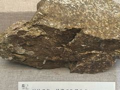 -延庆地质公园博物馆