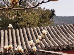 -潭柘寺景区