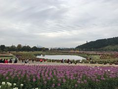 -径山花海