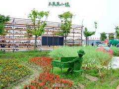 七彩花田-米果果小镇
