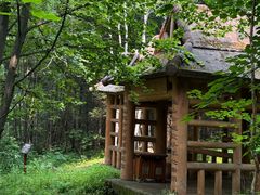 -汤旺河林海奇石景区