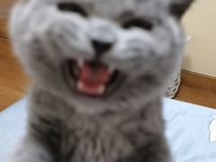 -谭鸭血老火锅·匠心(环球港旗舰店)