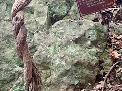 -磐安十八涡风景区