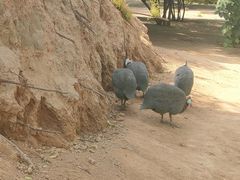 -森林公园(尖草坪区)