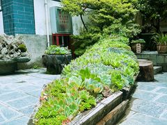 -寂照庵