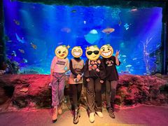 -沈阳海洋探索中心