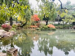 -秋霞圃