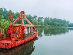 -溱湖国家湿地公园