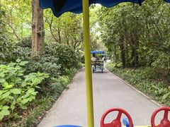 -上海滨江森林公园