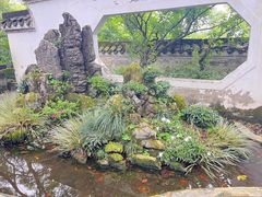 -南山植物园