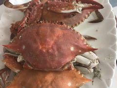 -烁佳海鲜大馅饺子