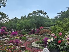 -苏州上方山国家森林公园
