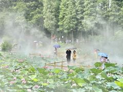 -广州莲花山旅游区