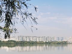 -艾溪湖湿地公园