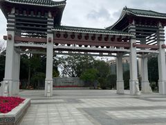 -王借岗森林公园