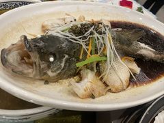 -小八仙·八方(移民广场店)
