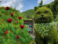 -洛阳白云山景区