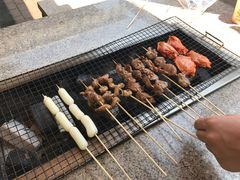 -吴淞炮台湾湿地森林公园烧烤区