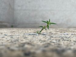 -童画王国儿童摄影(吉大店)