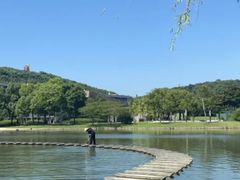 -上海佘山世茂艾美酒店