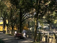 -阿育王寺