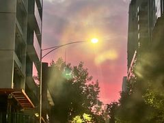 -上海英国外籍人员子女学校(浦西校区)